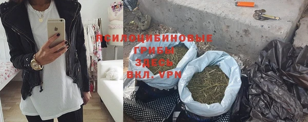 винт Майский