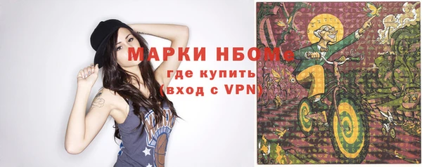 прущие грибы Магадан